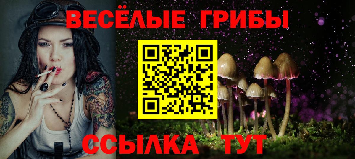 Новоуральск  Псилоцибиновые грибы Cubensis  Вход с VPN 